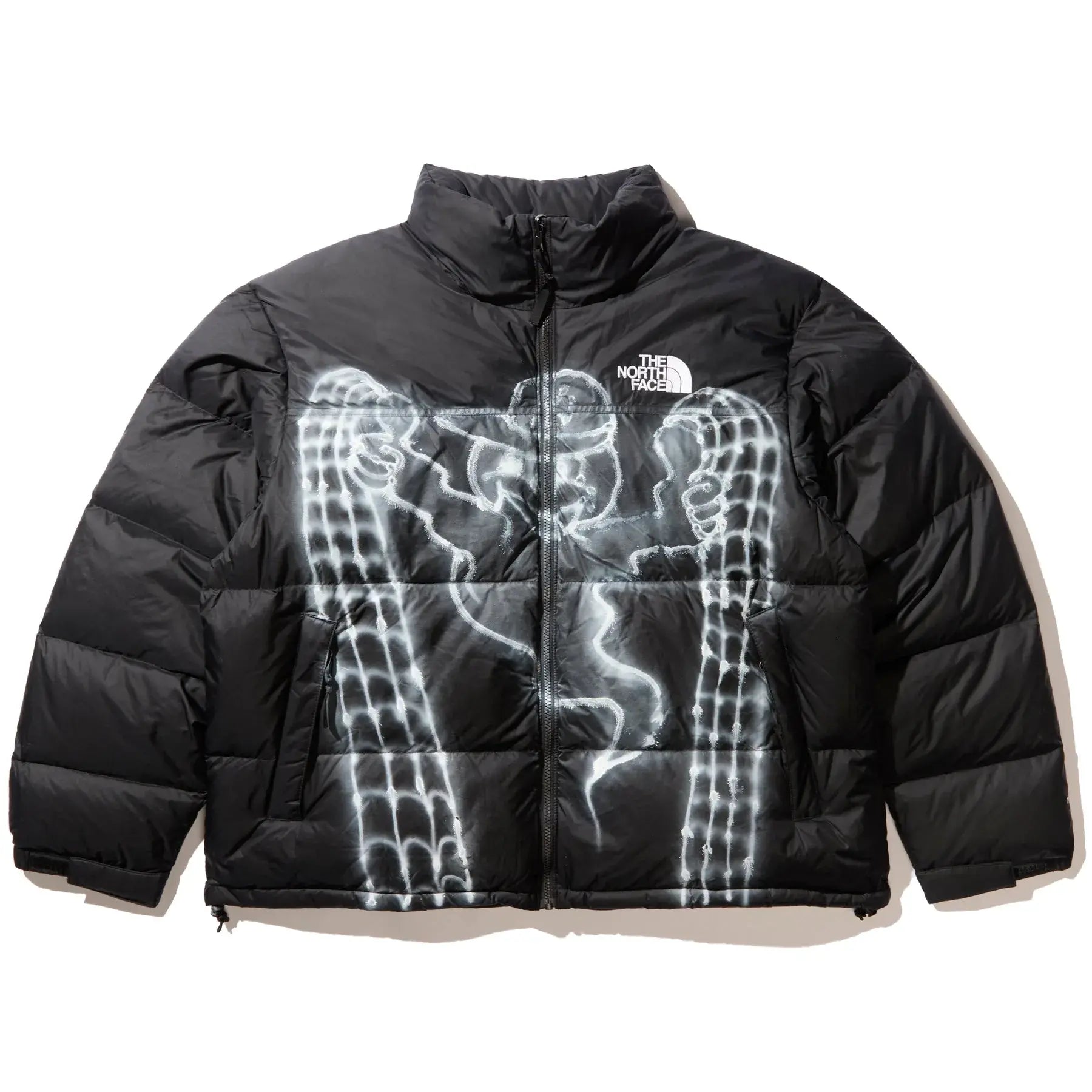awake tnf alehsy ghost jacket