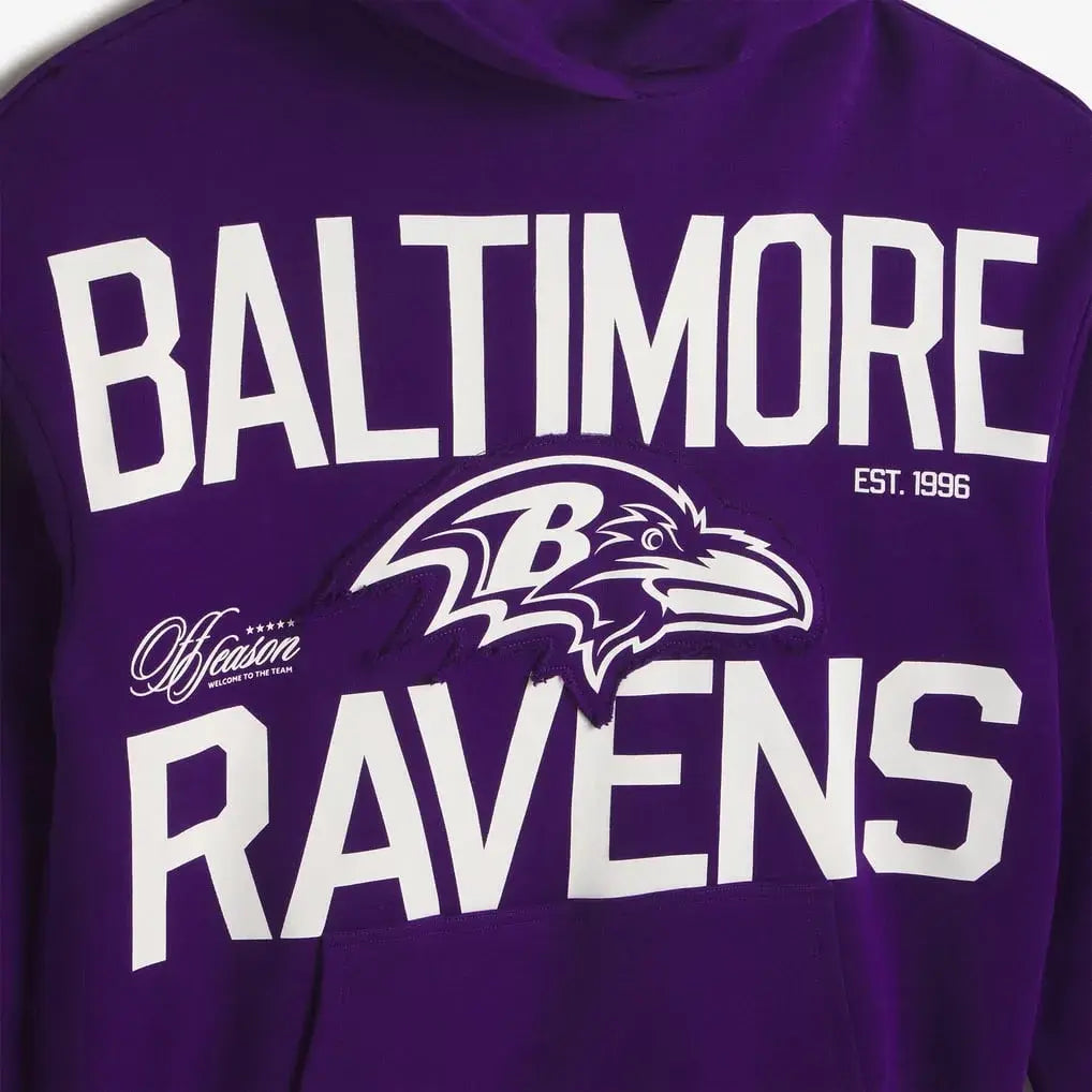 unisex baltimore ravens purple pullove